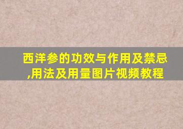 西洋参的功效与作用及禁忌,用法及用量图片视频教程