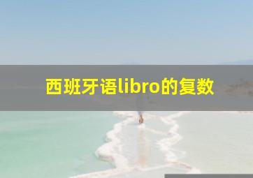 西班牙语libro的复数