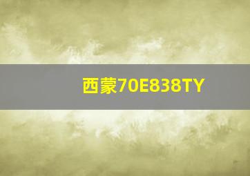 西蒙70E838TY