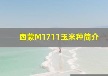 西蒙M1711玉米种简介