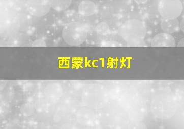 西蒙kc1射灯