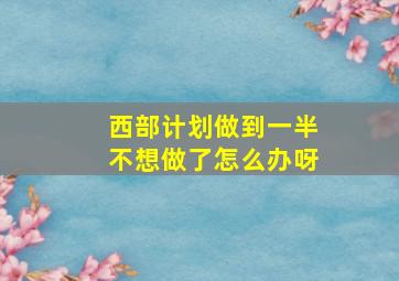 西部计划做到一半不想做了怎么办呀