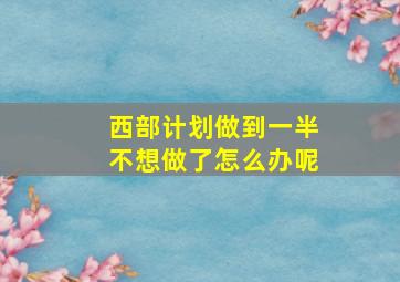 西部计划做到一半不想做了怎么办呢