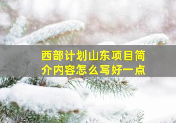 西部计划山东项目简介内容怎么写好一点