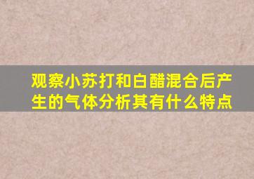 观察小苏打和白醋混合后产生的气体分析其有什么特点