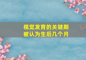 视觉发育的关键期被认为生后几个月