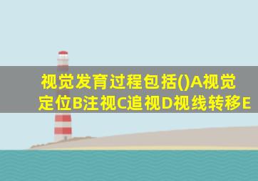 视觉发育过程包括()A视觉定位B注视C追视D视线转移E