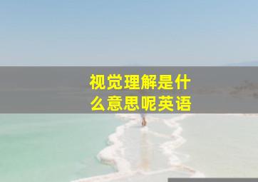 视觉理解是什么意思呢英语