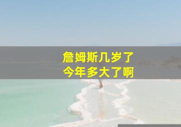 詹姆斯几岁了今年多大了啊