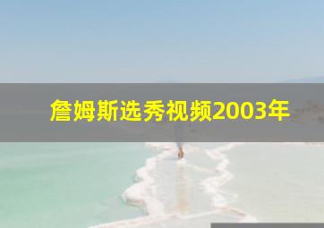 詹姆斯选秀视频2003年