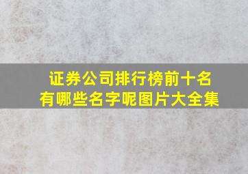 证券公司排行榜前十名有哪些名字呢图片大全集