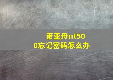 诺亚舟nt500忘记密码怎么办