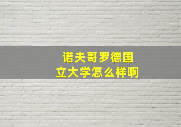 诺夫哥罗德国立大学怎么样啊