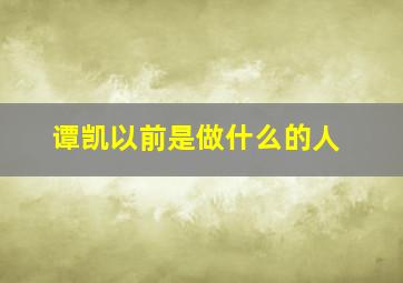 谭凯以前是做什么的人