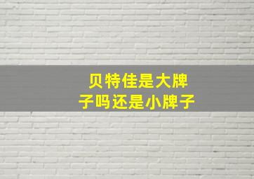 贝特佳是大牌子吗还是小牌子