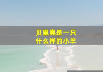 贝里奥是一只什么样的小羊