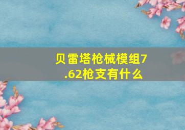 贝雷塔枪械模组7.62枪支有什么