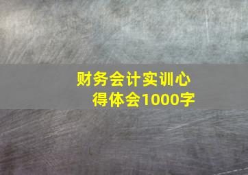 财务会计实训心得体会1000字