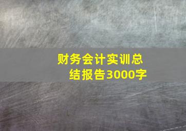 财务会计实训总结报告3000字