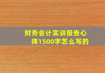 财务会计实训报告心得1500字怎么写的