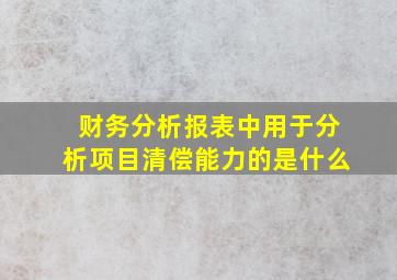 财务分析报表中用于分析项目清偿能力的是什么