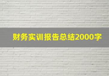 财务实训报告总结2000字