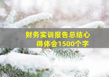 财务实训报告总结心得体会1500个字