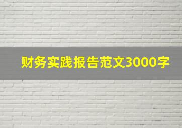 财务实践报告范文3000字