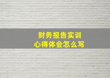 财务报告实训心得体会怎么写