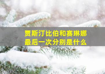 贾斯汀比伯和赛琳娜最后一次分别是什么