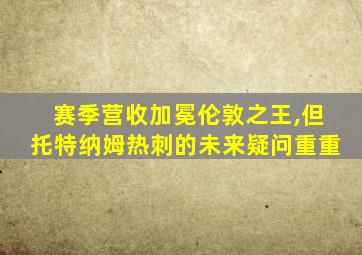 赛季营收加冕伦敦之王,但托特纳姆热刺的未来疑问重重