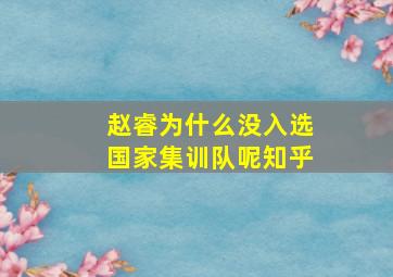 赵睿为什么没入选国家集训队呢知乎