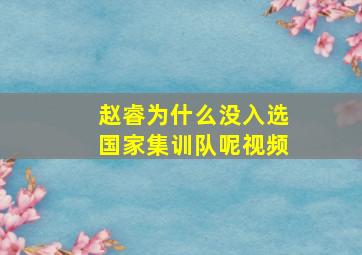 赵睿为什么没入选国家集训队呢视频