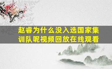 赵睿为什么没入选国家集训队呢视频回放在线观看