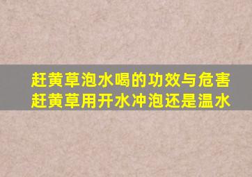 赶黄草泡水喝的功效与危害赶黄草用开水冲泡还是温水