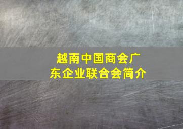 越南中国商会广东企业联合会简介