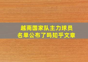 越南国家队主力球员名单公布了吗知乎文章