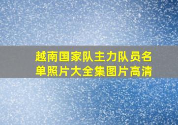 越南国家队主力队员名单照片大全集图片高清