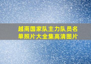 越南国家队主力队员名单照片大全集高清图片