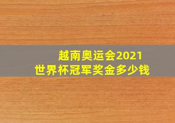 越南奥运会2021世界杯冠军奖金多少钱