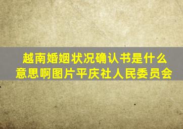 越南婚姻状况确认书是什么意思啊图片平庆社人民委员会