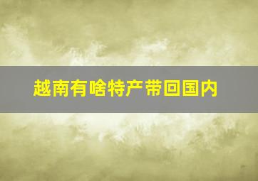 越南有啥特产带回国内