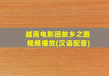 越南电影回故乡之路视频播放(汉语配音)