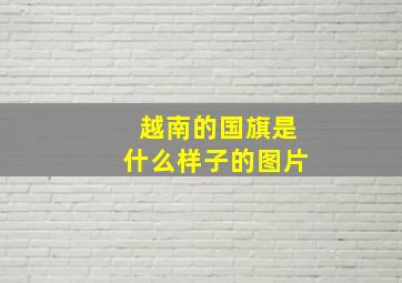 越南的国旗是什么样子的图片