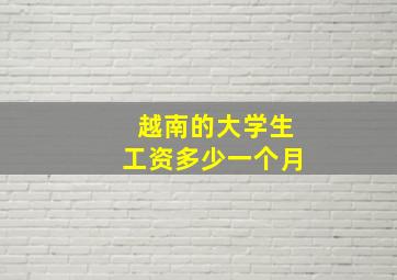 越南的大学生工资多少一个月