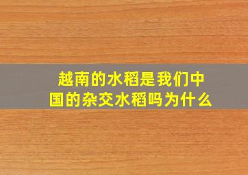 越南的水稻是我们中国的杂交水稻吗为什么