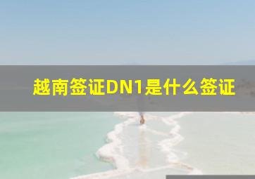 越南签证DN1是什么签证