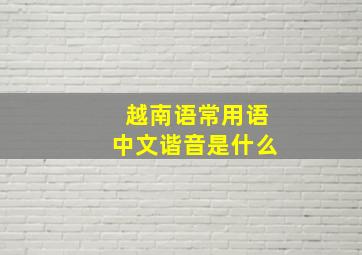 越南语常用语中文谐音是什么