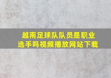 越南足球队队员是职业选手吗视频播放网站下载