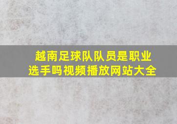 越南足球队队员是职业选手吗视频播放网站大全